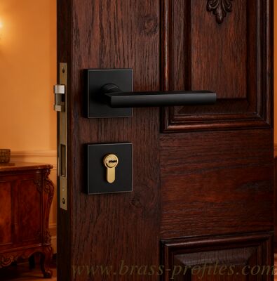 Copper Lock solid brass forged dummy lock with grade A lock core suitable for wooden and metal doors and multiple mortise lock options supplier